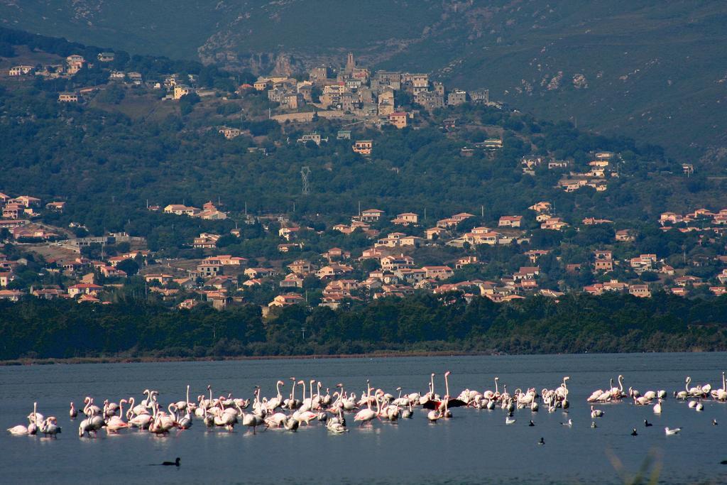 Isola Hotel Borgo  Εξωτερικό φωτογραφία
